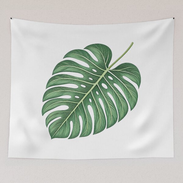 Item preview, Hoja Monstera designed and sold by Broxui.
