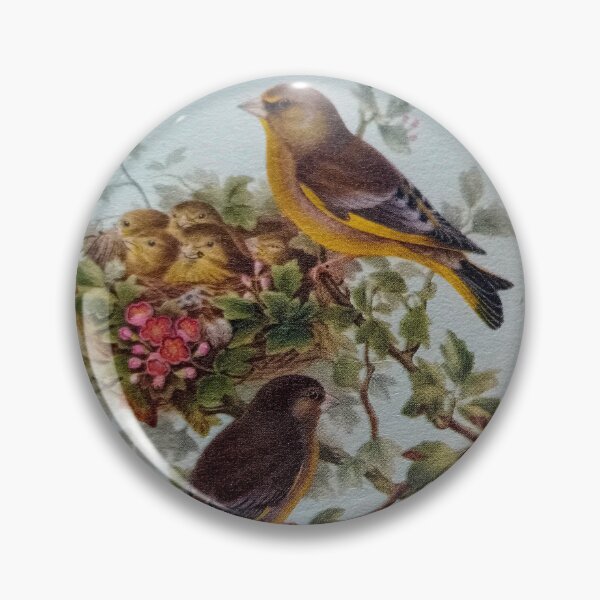 Item preview, ReDesigned Vintage Book Plates of British Birds By Miss K L Slomczynski designed and sold by KABFA Designs.