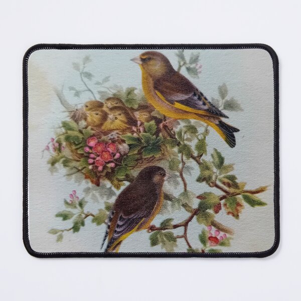 Item preview, ReDesigned Vintage Book Plates of British Birds By Miss K L Slomczynski designed and sold by KABFA Designs.