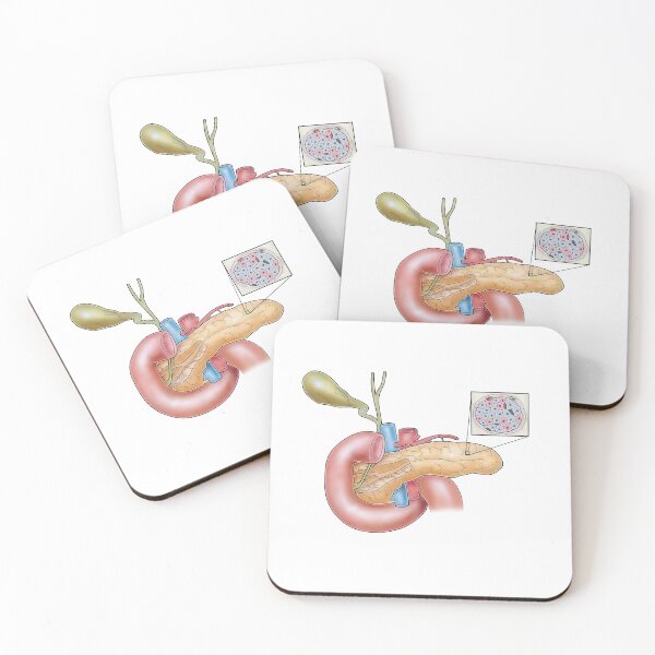 Item preview, Pancreas designed and sold by TIBOM.