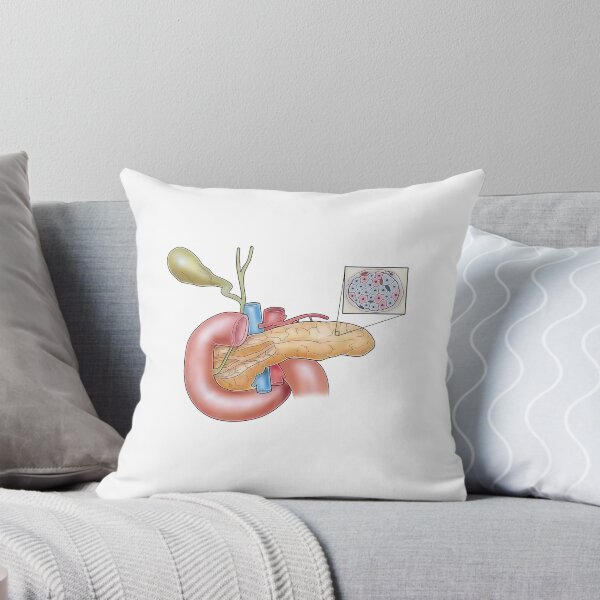 Item preview, Pancreas designed and sold by TIBOM.