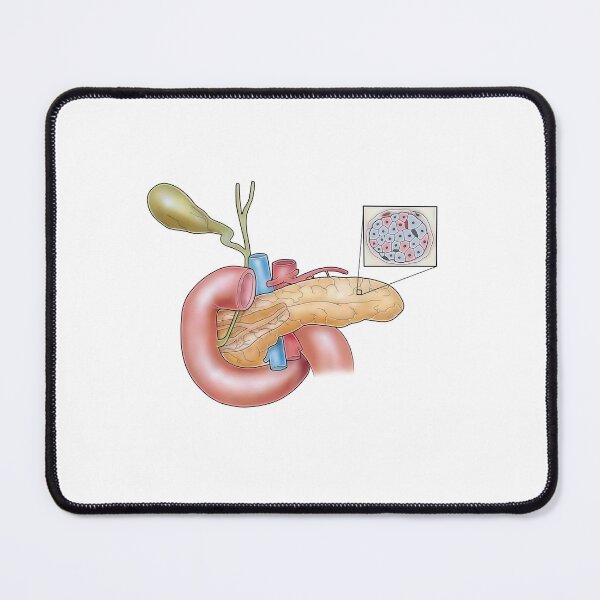 Item preview, Pancreas designed and sold by TIBOM.