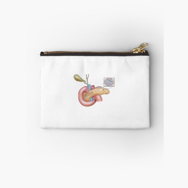 Item preview, Pancreas designed and sold by TIBOM.
