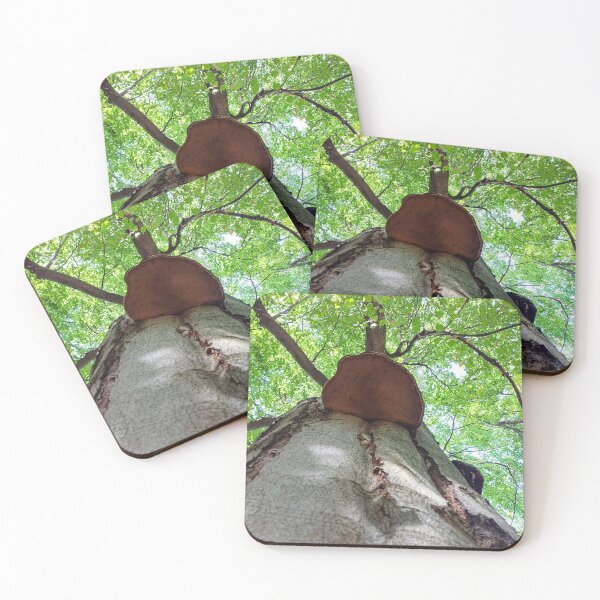 Item preview, Tree with Shelf Fungus from Below designed and sold by Peter-Mahr.