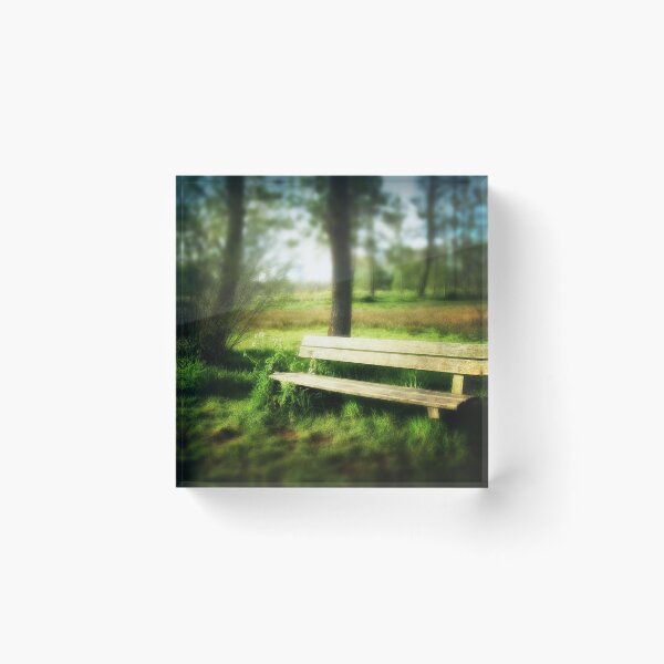 Item preview, Empty Wooden Bench in a Sunlit Park designed and sold by James DeFazio.