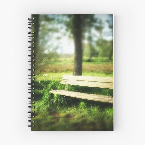 Item preview, Empty Wooden Bench in a Sunlit Park designed and sold by James DeFazio.