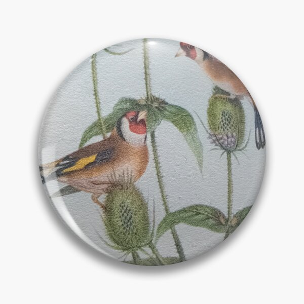 Item preview, Redesigned Vintage Book Bird Plates with Thittles By Miss K L SLomczynski designed and sold by KABFA Designs.