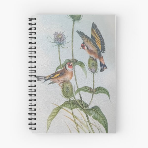 Item preview, Redesigned Vintage Book Bird Plates with Thittles By Miss K L SLomczynski designed and sold by KABFA Designs.