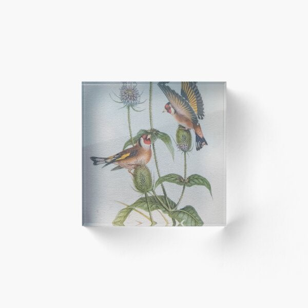Aperçu de l'œuvre Assiettes à oiseaux vintage redessinées avec des chardons par Miss K L SLomczynski créée et vendue par KABFA Designs.