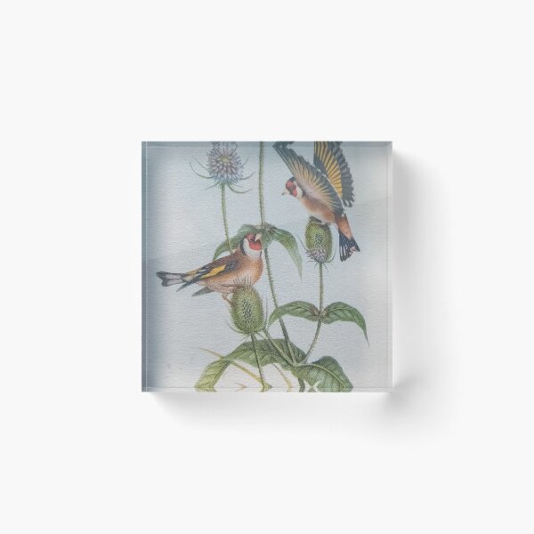 Item preview, Redesigned Vintage Book Bird Plates with Thittles By Miss K L SLomczynski designed and sold by KABFA Designs.