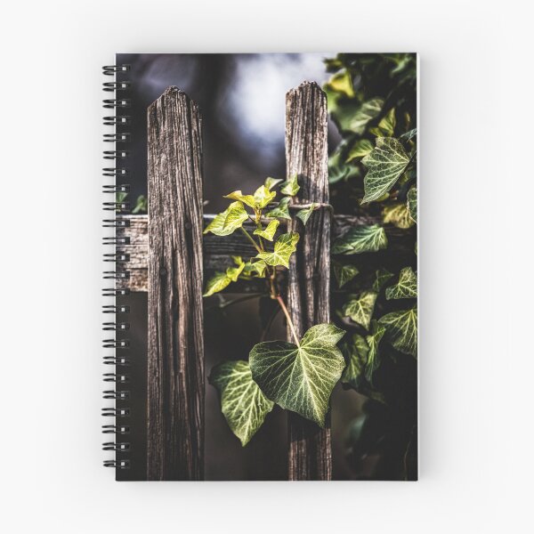 Item preview, Natures Embrace designed and sold by James DeFazio.