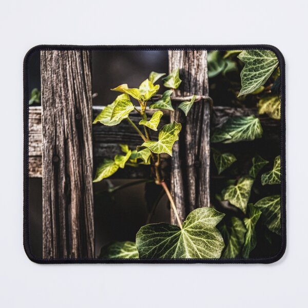 Item preview, Natures Embrace designed and sold by James DeFazio.