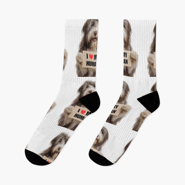 Item preview, Cute Bearded Collie dog with Signboard I love my Human  designed and sold by LazyOwlStore.