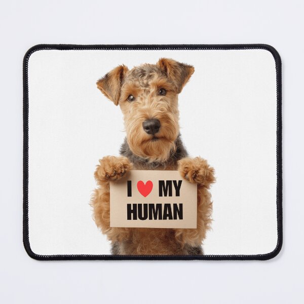 Item preview, Cute Lakeland Terrier dog with Signboard I love my Human  designed and sold by LazyOwlStore.