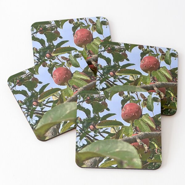 Item preview, Gift of nature designed and sold by DjeriK.