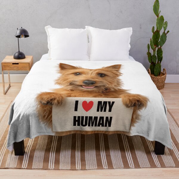 Item preview, Cute Australian Terrier dog with Signboard I love my Human  designed and sold by LazyOwlStore.