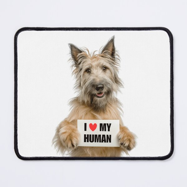 Item preview, Cute Berger Picard dog with Signboard I love my Human  designed and sold by LazyOwlStore.