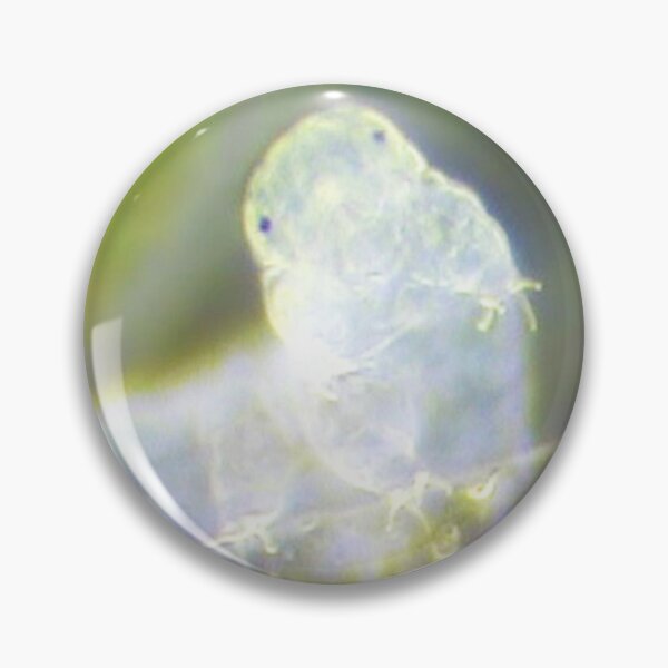 Item preview, ANIMAL designed and sold by myStudioVisual.