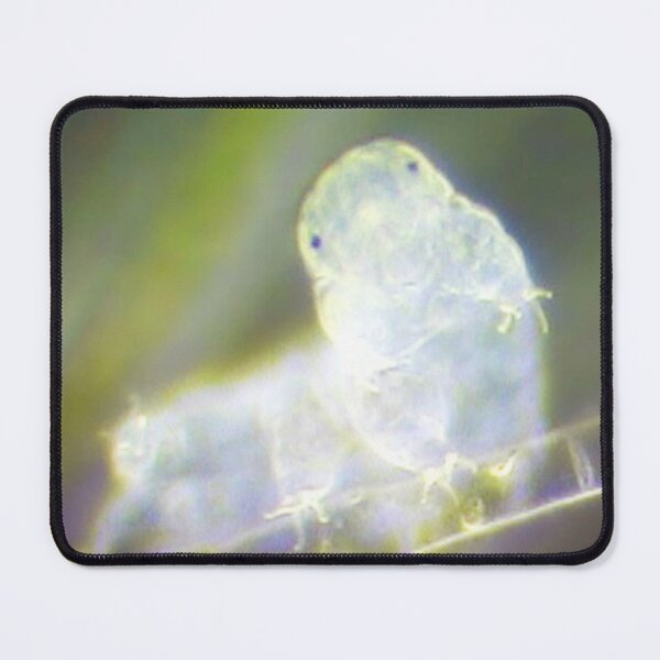 Item preview, ANIMAL designed and sold by myStudioVisual.