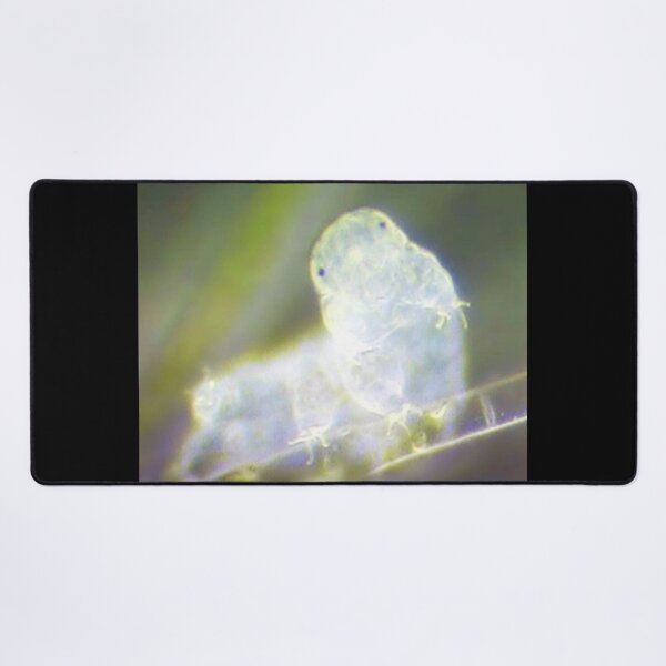 Item preview, ANIMAL designed and sold by myStudioVisual.