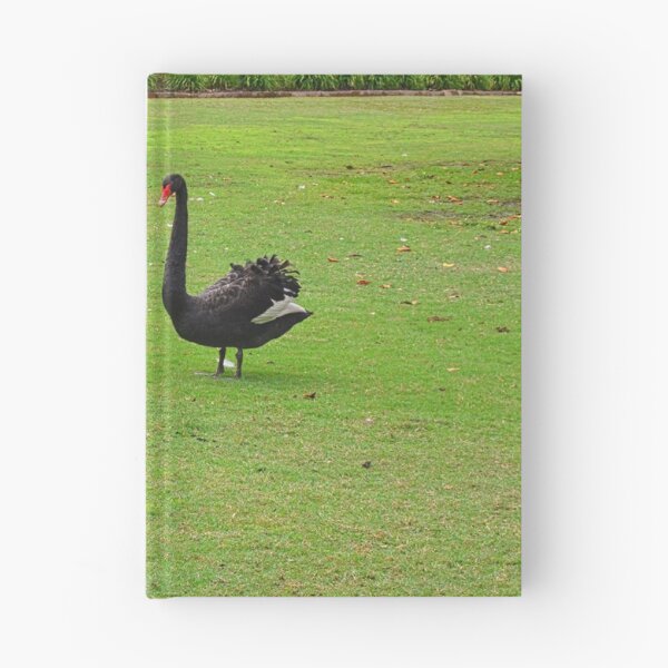Item preview, Family of Black Swans  designed and sold by LisaWootenPhoto.