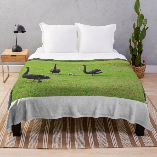 Item preview, Family of Black Swans designed and sold by LisaWootenPhoto.