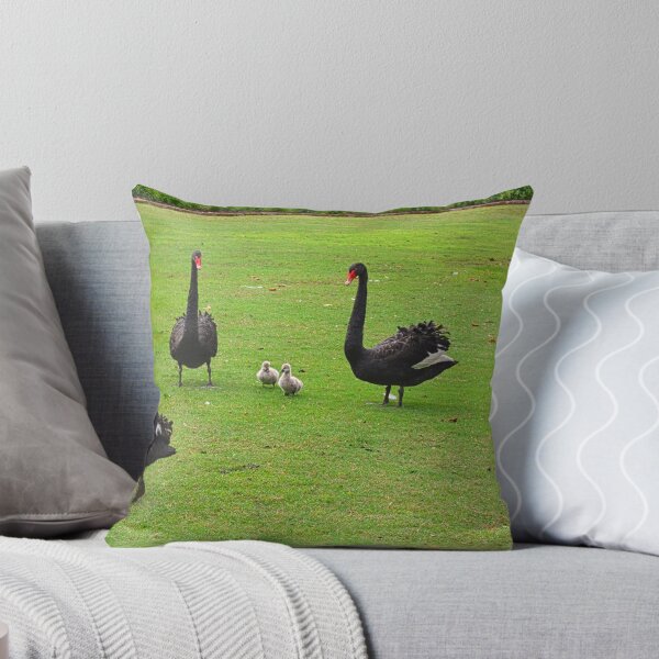 Item preview, Family of Black Swans  designed and sold by LisaWootenPhoto.
