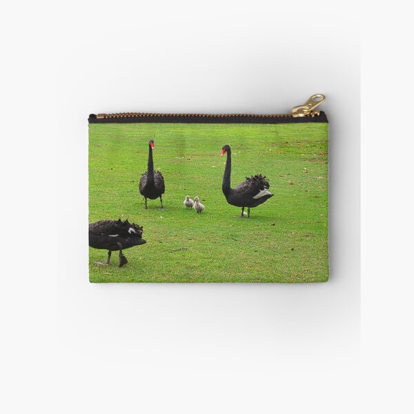 Item preview, Family of Black Swans  designed and sold by LisaWootenPhoto.