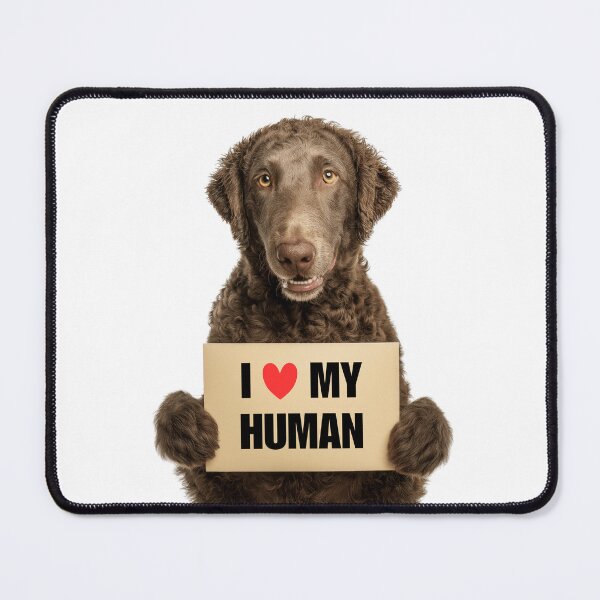 Item preview, Cute Curly-Coated Retriever dog with Signboard I love my Human  designed and sold by LazyOwlStore.