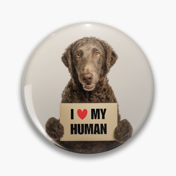 Item preview, Cute Curly-Coated Retriever dog with Signboard I love my Human  designed and sold by LazyOwlStore.
