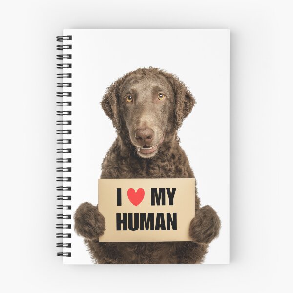 Item preview, Cute Curly-Coated Retriever dog with Signboard I love my Human  designed and sold by LazyOwlStore.