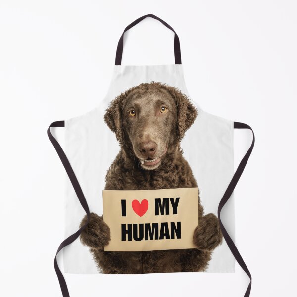 Item preview, Cute Curly-Coated Retriever dog with Signboard I love my Human designed and sold by LazyOwlStore.