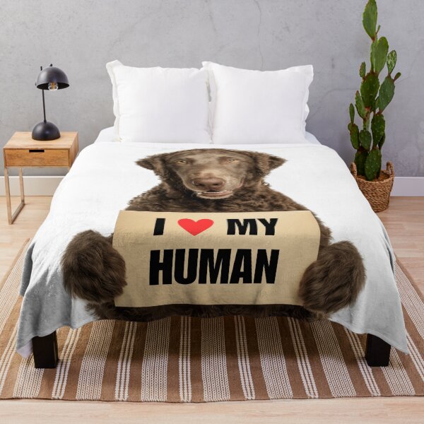 Item preview, Cute Curly-Coated Retriever dog with Signboard I love my Human  designed and sold by LazyOwlStore.