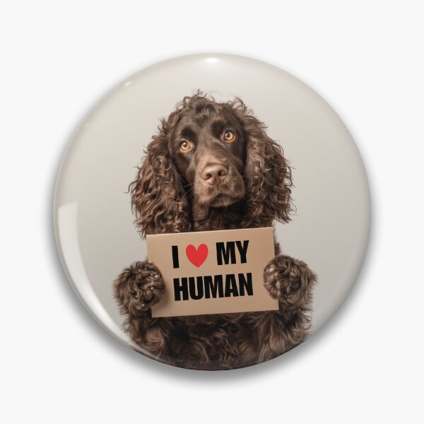 Item preview, Cute American Water Spaniel dog with Signboard I love my Human  designed and sold by LazyOwlStore.