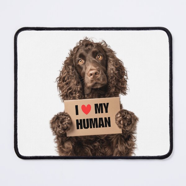 Item preview, Cute American Water Spaniel dog with Signboard I love my Human  designed and sold by LazyOwlStore.
