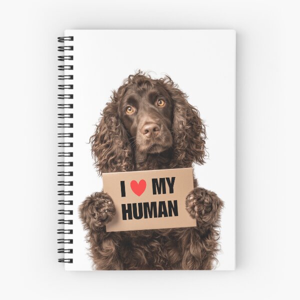 Item preview, Cute American Water Spaniel dog with Signboard I love my Human  designed and sold by LazyOwlStore.