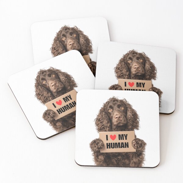 Item preview, Cute American Water Spaniel dog with Signboard I love my Human  designed and sold by LazyOwlStore.