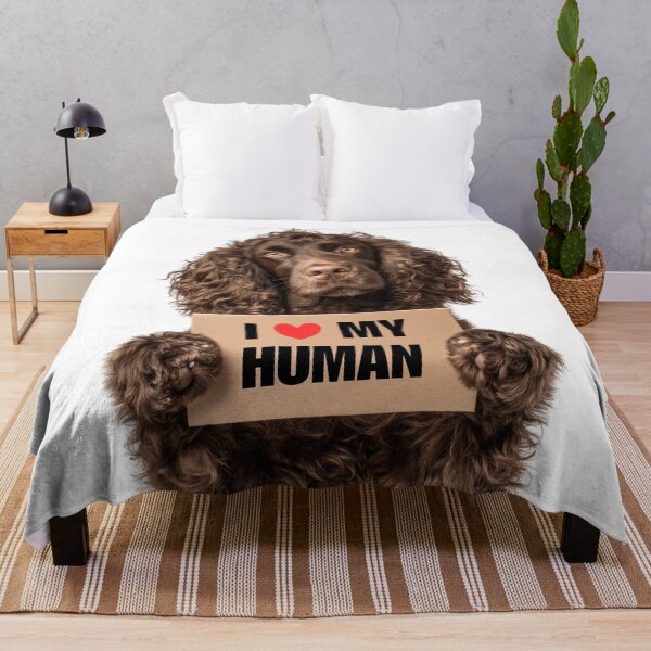 Item preview, Cute American Water Spaniel dog with Signboard I love my Human  designed and sold by LazyOwlStore.