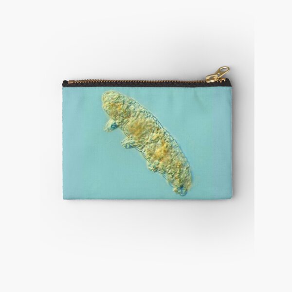 Item preview, ANIMAL designed and sold by myStudioVisual.