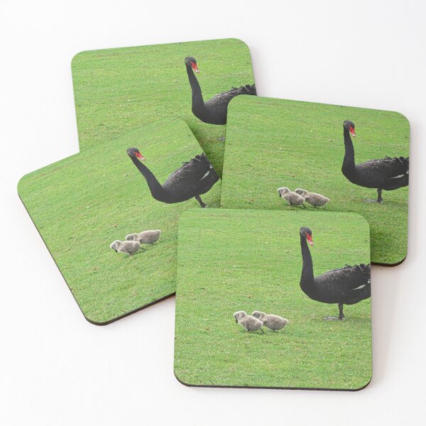 Item preview, Black Swan with Two Cygnets designed and sold by LisaWootenPhoto.
