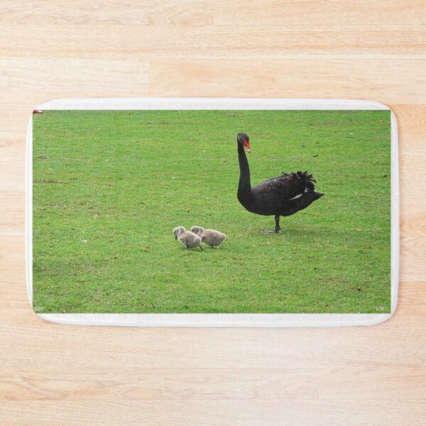 Item preview, Black Swan with Two Cygnets designed and sold by LisaWootenPhoto.