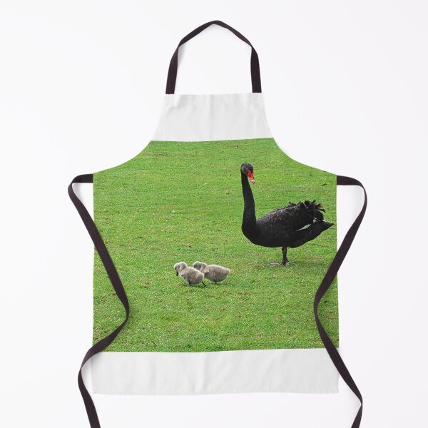 Item preview, Black Swan with Two Cygnets designed and sold by LisaWootenPhoto.