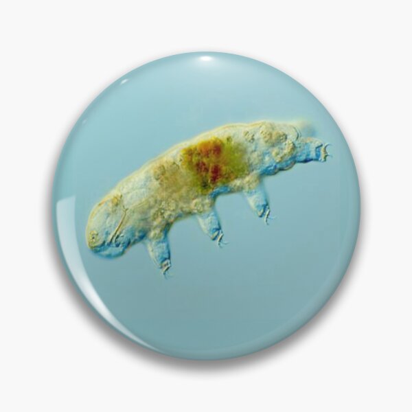 Item preview, ANIMAL designed and sold by myStudioVisual.
