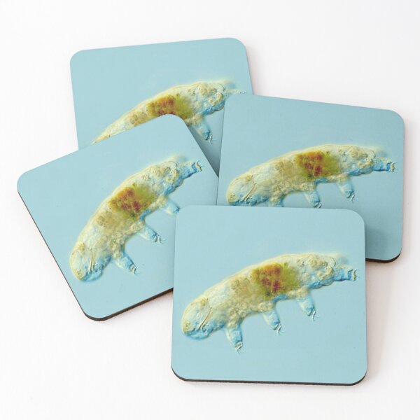 Item preview, ANIMAL designed and sold by myStudioVisual.