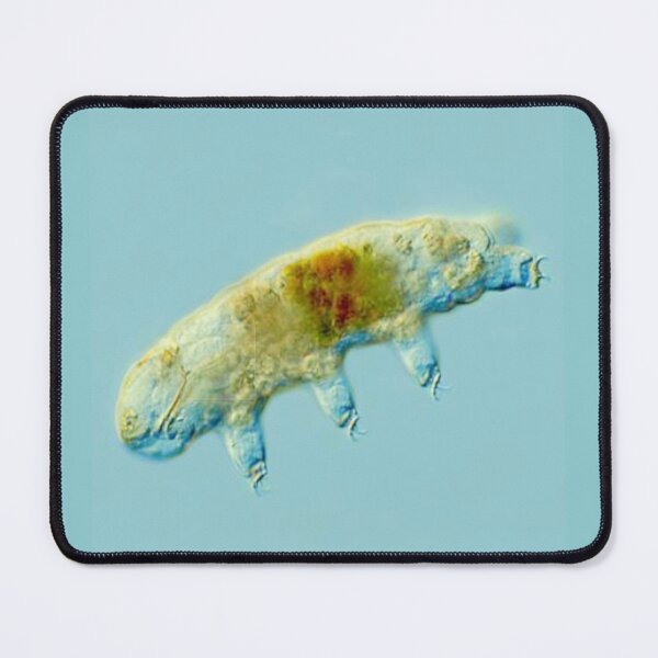 Item preview, ANIMAL designed and sold by myStudioVisual.