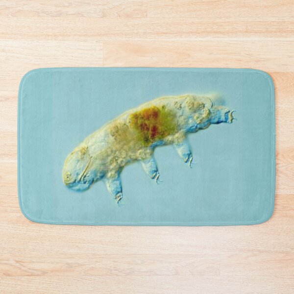 Item preview, ANIMAL designed and sold by myStudioVisual.