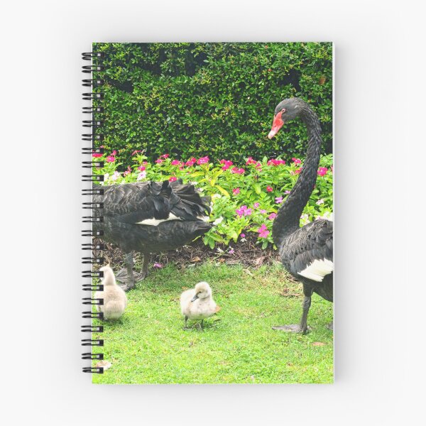 Item preview, Black Swans with Cygnets in Park designed and sold by LisaWootenPhoto.