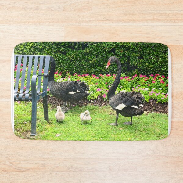 Item preview, Black Swans with Cygnets in Park designed and sold by LisaWootenPhoto.