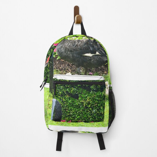 Item preview, Black Swans with Cygnets in Park designed and sold by LisaWootenPhoto.