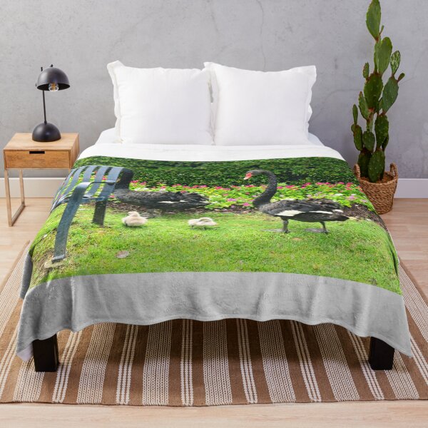 Item preview, Black Swans with Cygnets in Park designed and sold by LisaWootenPhoto.